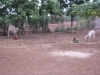 img_4003-fm