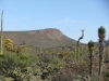 110-fm