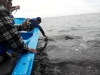 p04-03-13_13-312-fm