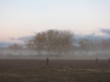 Sunrise at Bosque del Apache