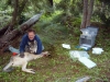 doug-wolves011
